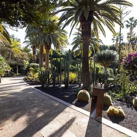 Home2book Chic & Stylish Rosalia Apartment Santa Cruz de Tenerife