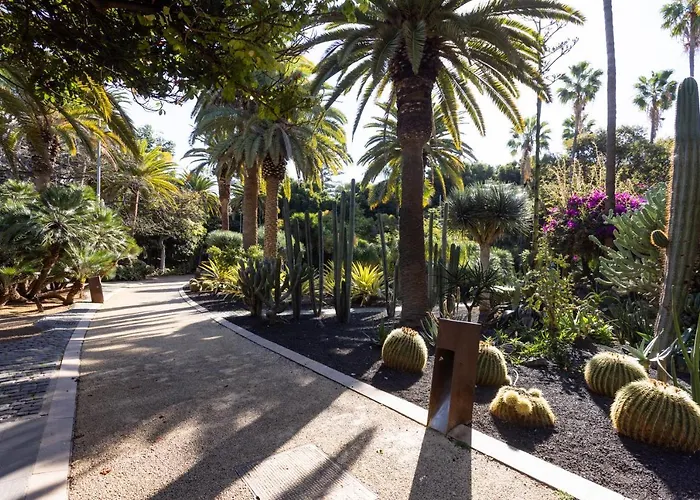 Home2book Chic & Stylish Rosalia Apartamento Santa Cruz de Tenerife