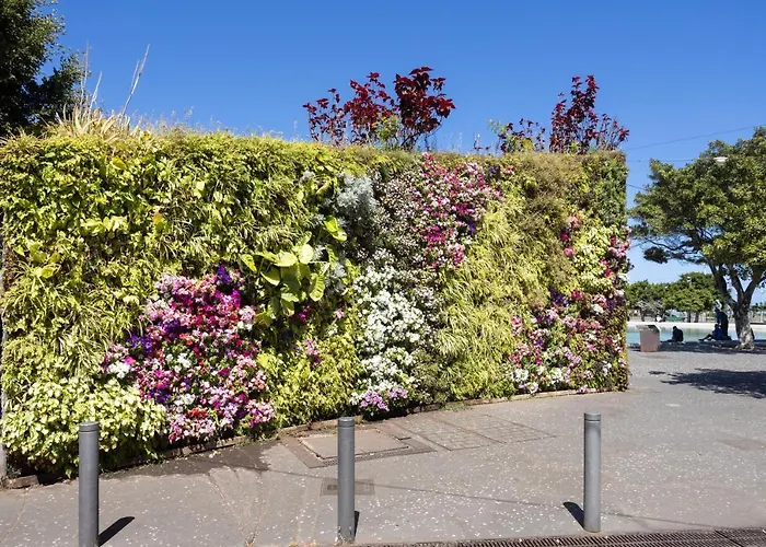 Home2book Chic & Stylish Rosalia Apartamento Santa Cruz de Tenerife