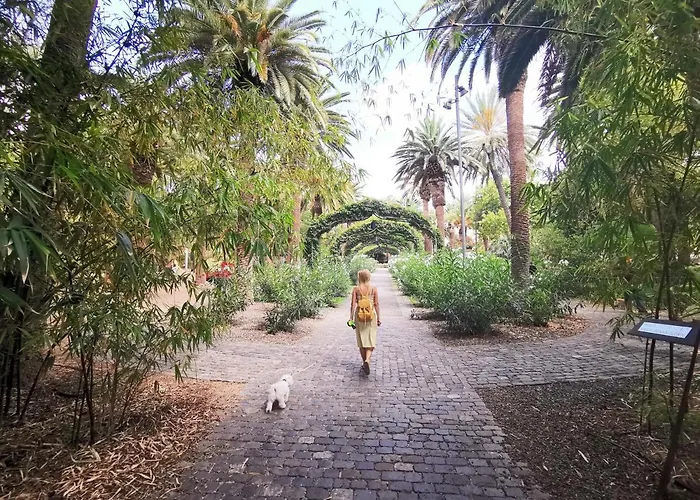 Home2book Chic & Stylish Rosalia Santa Cruz de Tenerife