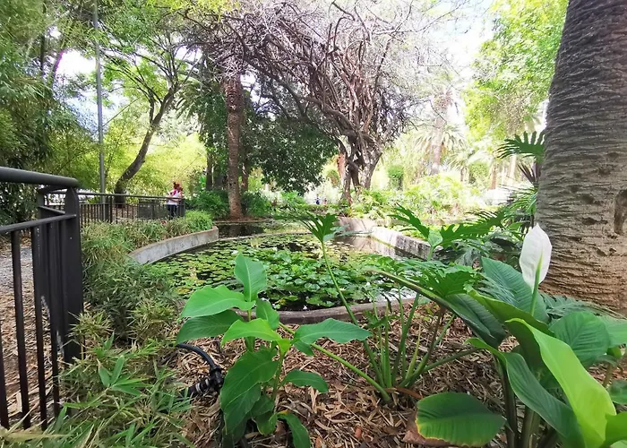 Home2book Chic & Stylish Rosalia Apartamento Santa Cruz de Tenerife